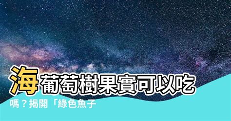 海葡萄果實可以吃嗎